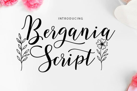 Bergania Script: A Modern Typeface for Campaign Design