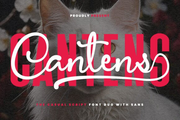Cantens: A Versatile Script Font for Small Business Branding