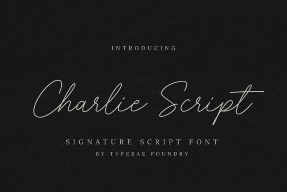 Charlie Script: A Versatile Typeface for Modern Campaigns