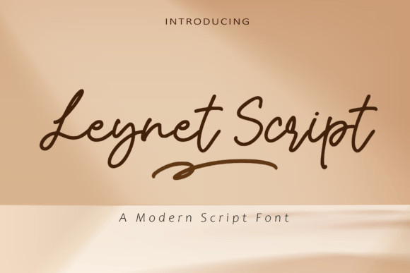 Leynet Script Review: A Designer's Take on Real-World Use